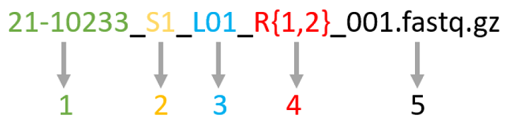 read-headers-figure