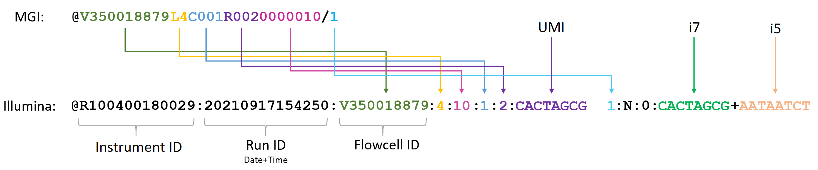 read-headers-figure